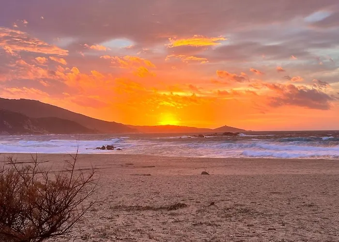 Apartment Alivu Immurtale - T3 Design Standing & Confort, Terrasse Xxl *